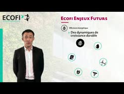 L'efficience énergétique comme thème d'investissement ?