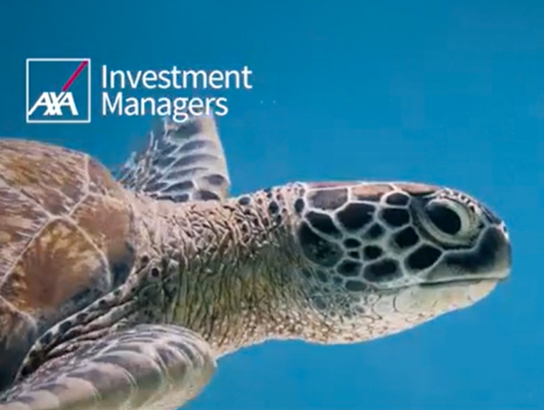 🐢 Comment bien investir en faveur de la biodiversité ?