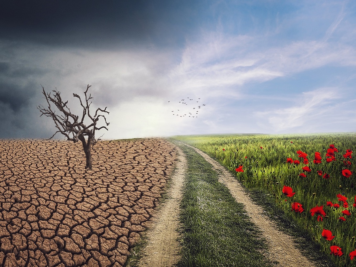 Climate Action : Il est temps d’agir !