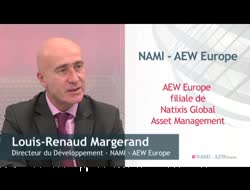 Forte collecte en 2012 et maintien des taux de distribution des  SCPI en 2013:+ 5% "