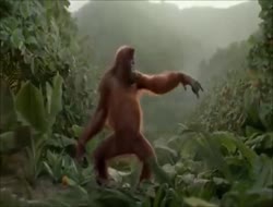 Les vœux H24 en vidéo... 