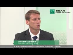 Acheter un fonds "low carbon" permet de surperformer…