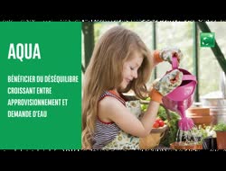 Investir dans un bien "plus précieux que l'or"...