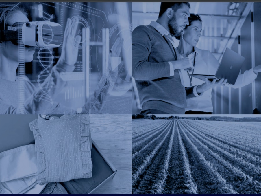 🎯 Le private equity thématique : du FCPI au remploi en passant par le fonds à impact...