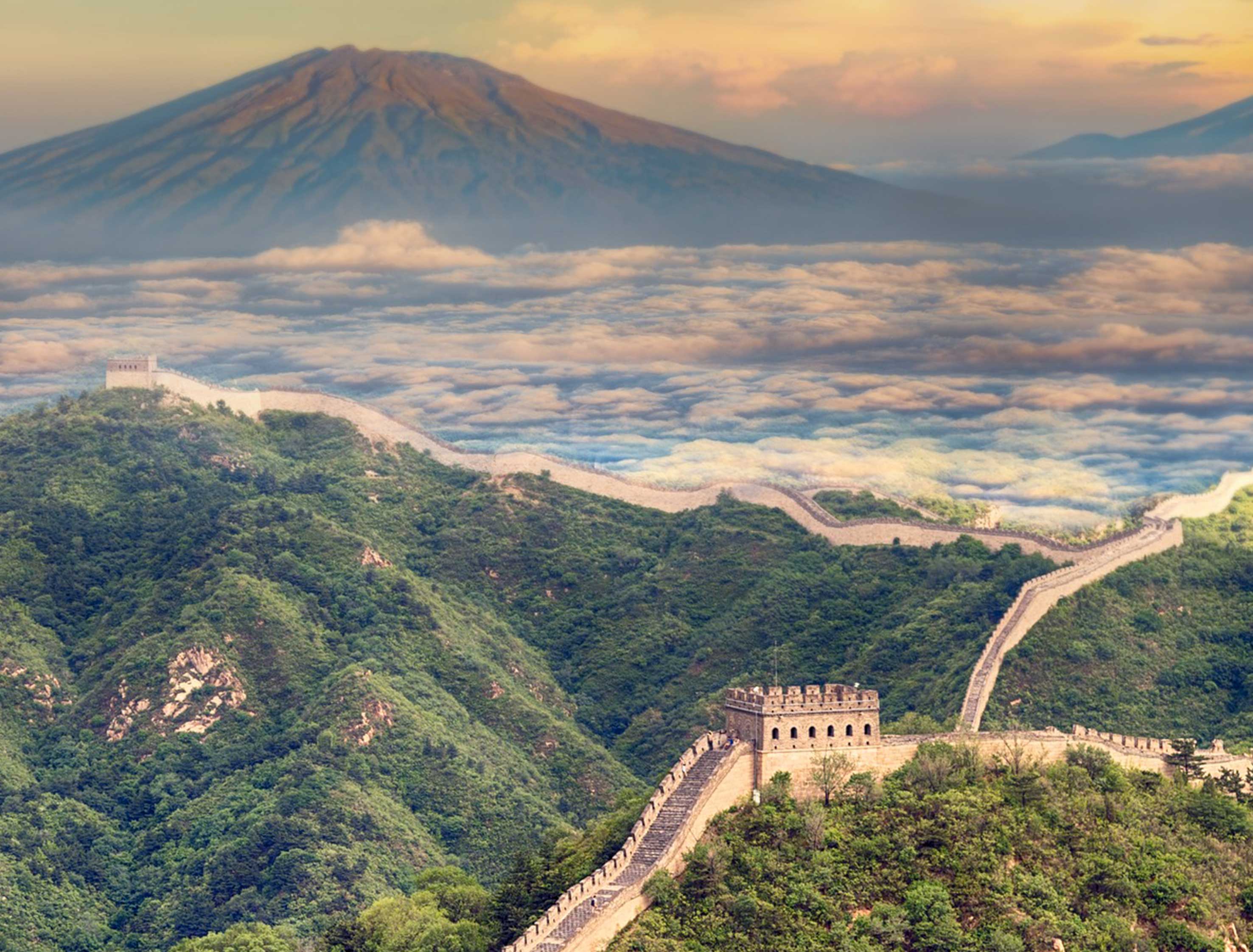 🐲 L'Asie à portée de main...