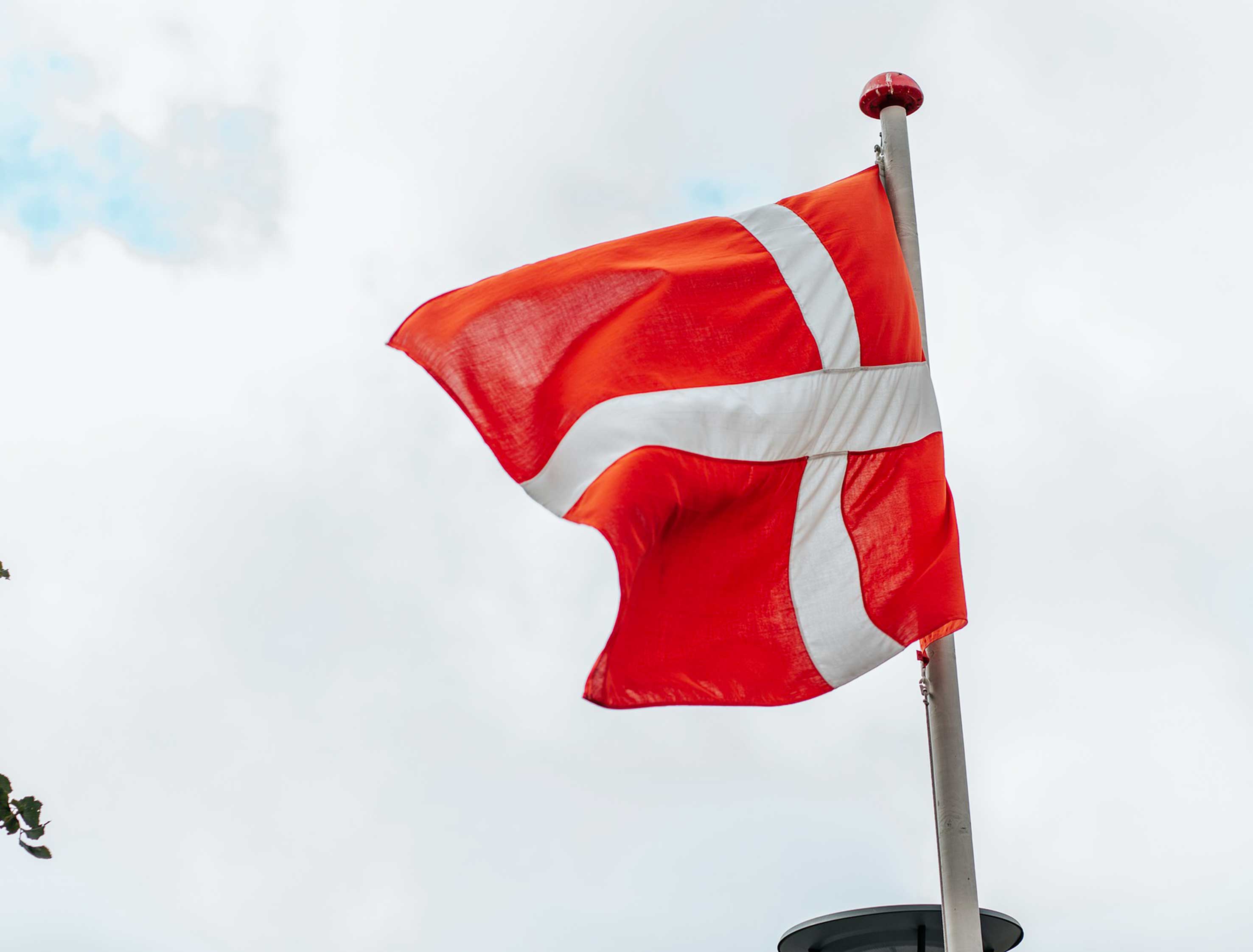 🧜♀️ Un grand fonds de pension nordique a investi dans la stratégie innovante de ce gérant français…