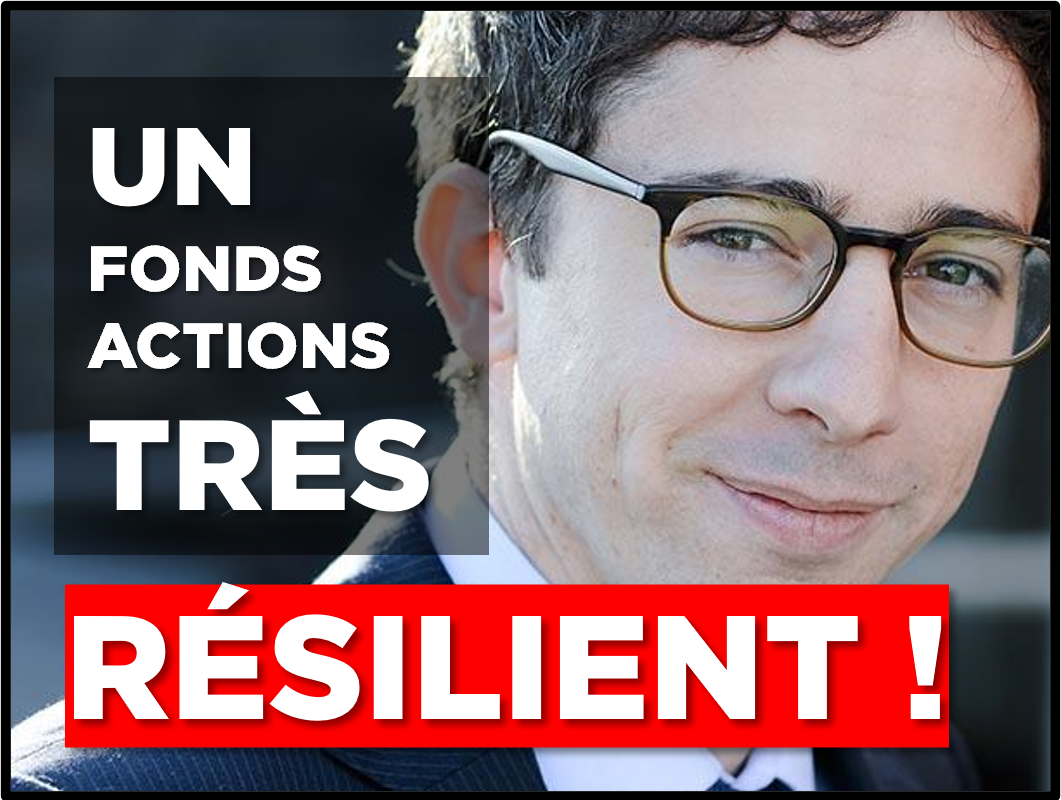 💾 Cette stratégie performante traverse sereinement la crise…