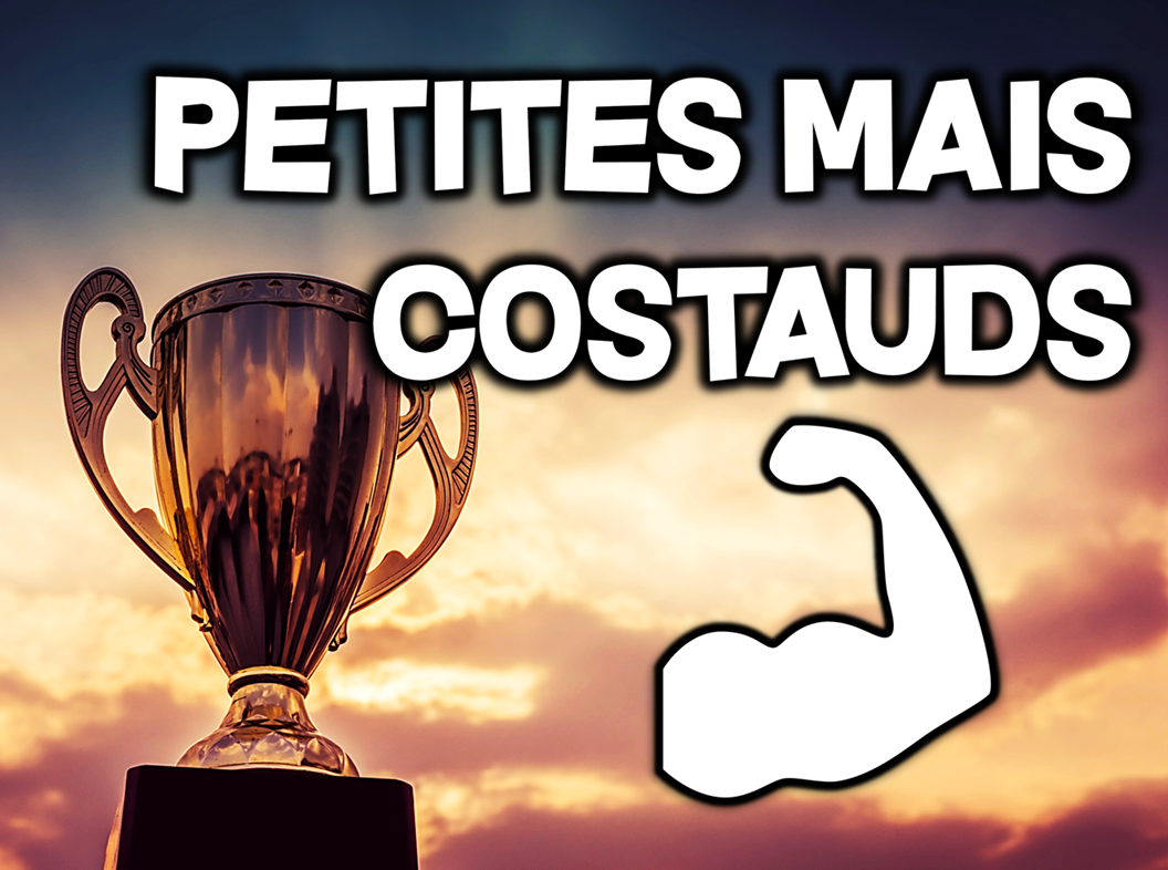 Quelques fonds de petites et moyennes capitalisations qui performent...
