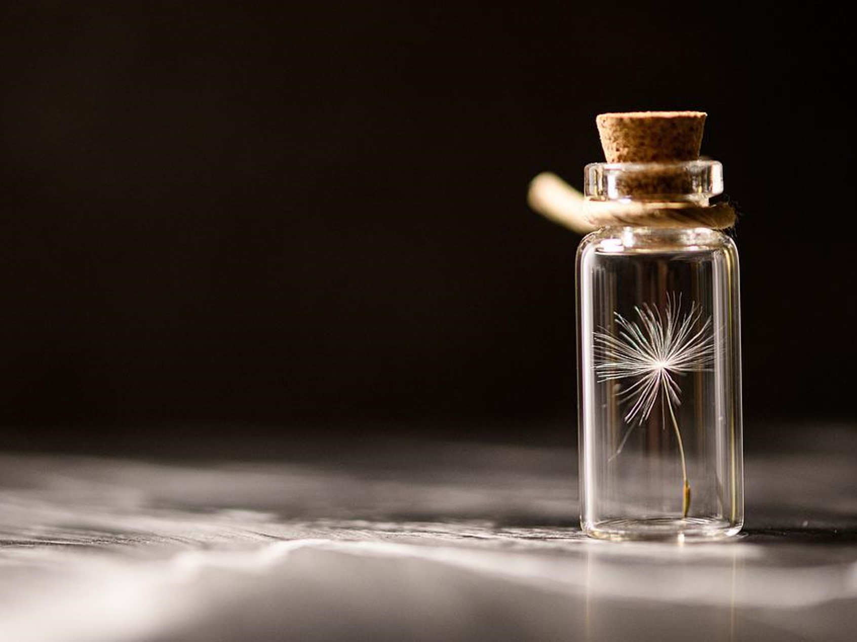 🌳 La loi va bientôt obliger les sociétés de gestion à prendre davantage en compte ce risque...