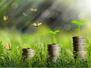 🍀 Passer à l'investissement durable sans tomber dans le greenwashing...