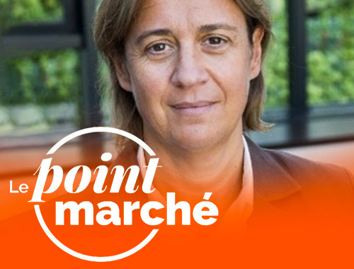 Du monétaire à la place du fonds en euros ?